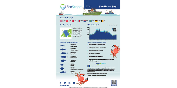 EcoScope logo